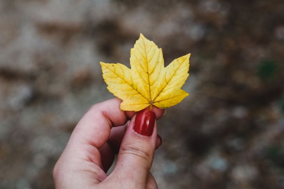 almond shape fall nails guide