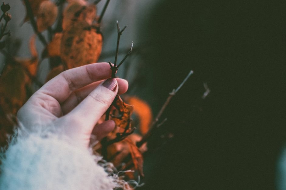 dark fall nails ultimate guide