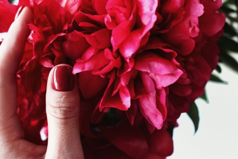 Burgundy Nails 2025: 25+ Stunning Designs To Try Now For A Chic Look