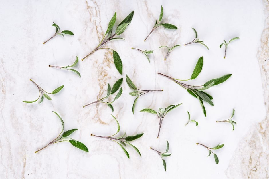 Sage Nails: 2025's Most Requested Manicure Color and How to Wear It 4 Sage Nails