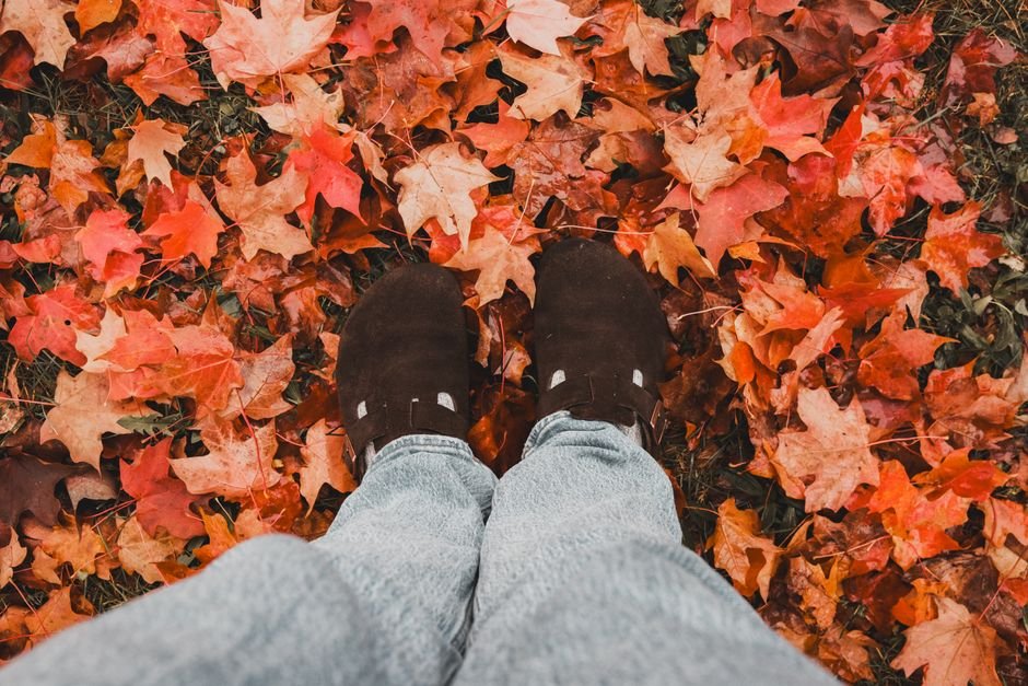 Cardigan Outfit Fall