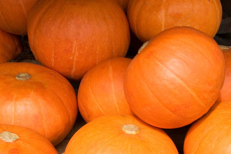 Pumpkin Orange Nails Design: 35+ Stunning Fall Nail Art Ideas That Capture Autumn Magic 5 Pumpkin Orange Nails Design