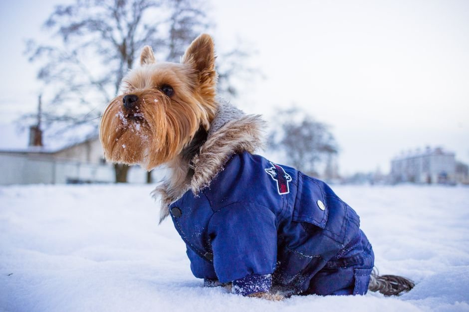 Cute Cold Weather Outfits: Your Complete Guide to Staying Warm and Stylish in 2025 2 Cute Cold Weather Outfits