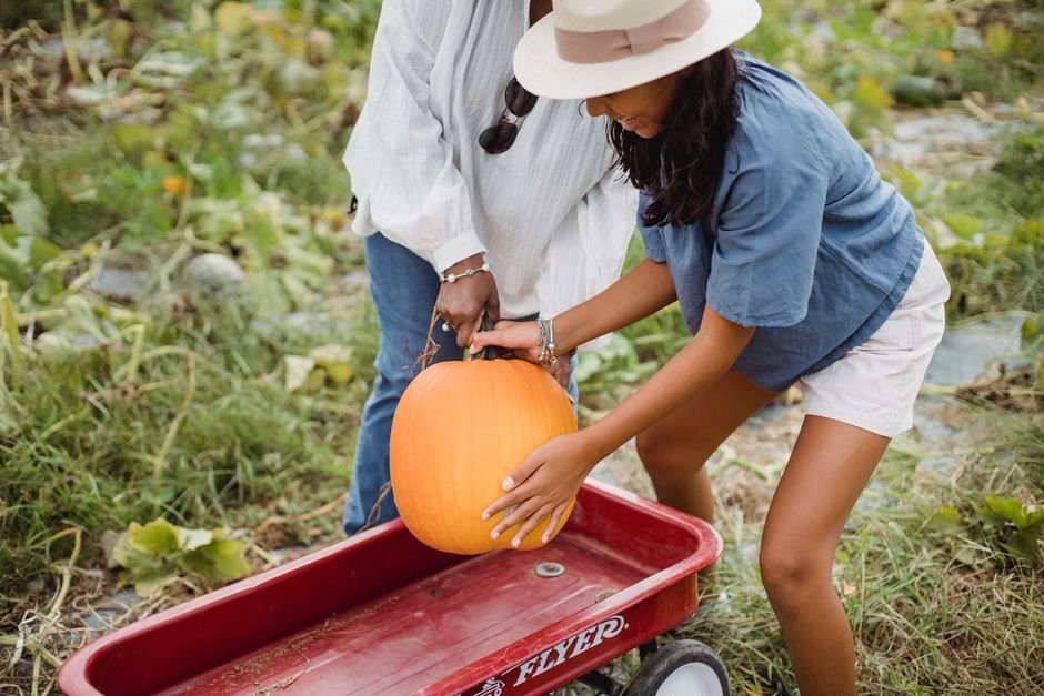 Pumpkin Patch Outfit Women