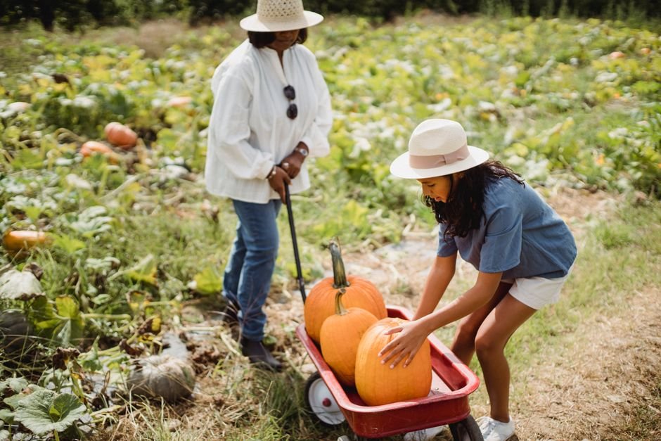 Pumpkin Patch Outfit Women