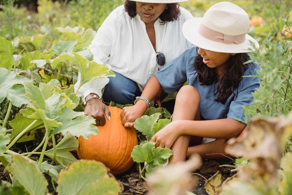 Pumpkin patch outfit women complete