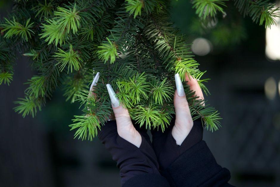 stunning green winter nails ideas