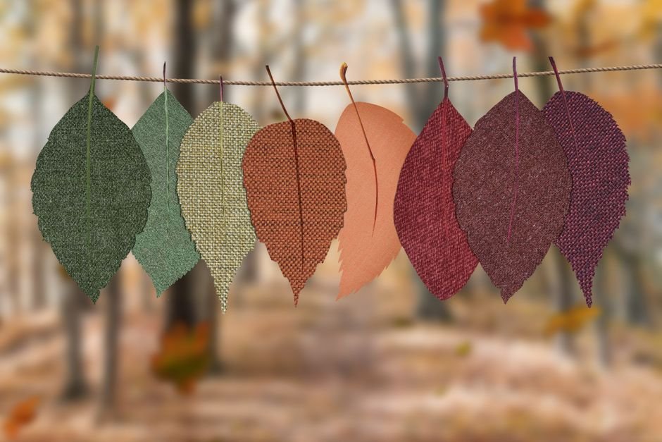 Fall Outfits Aesthetic: Your Complete Guide to Stunning Autumn Style 3 Fall Outfits Aesthetic