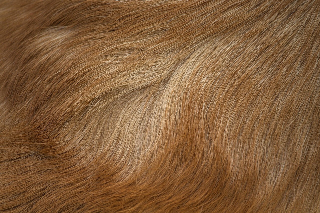 Wind-swept straight hair