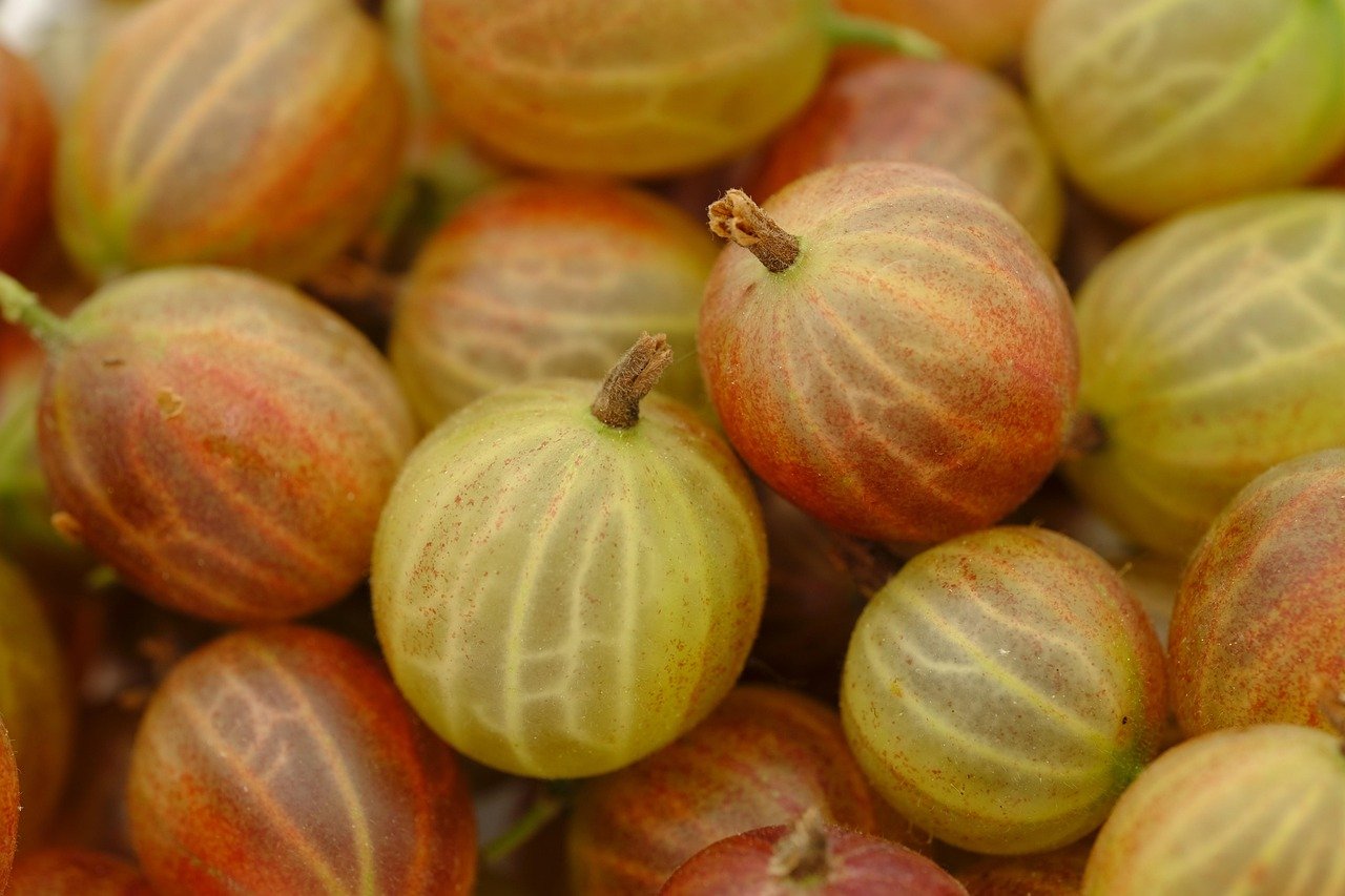 Berry Pink for Rich, Saturated Results