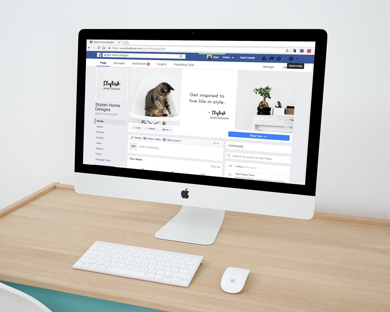 Celebrity & Social Media Trends