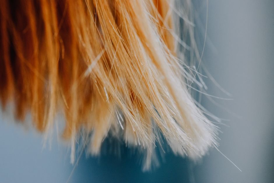 Latest Trends in Warm Golden Blonde Hair