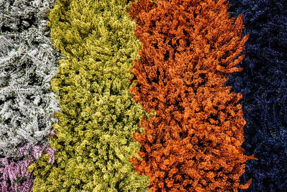 Seasonal Colors & Combinations