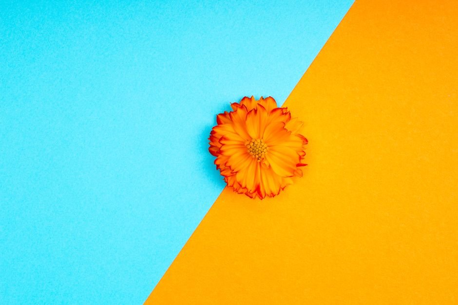 Seasonal Colors & Combinations