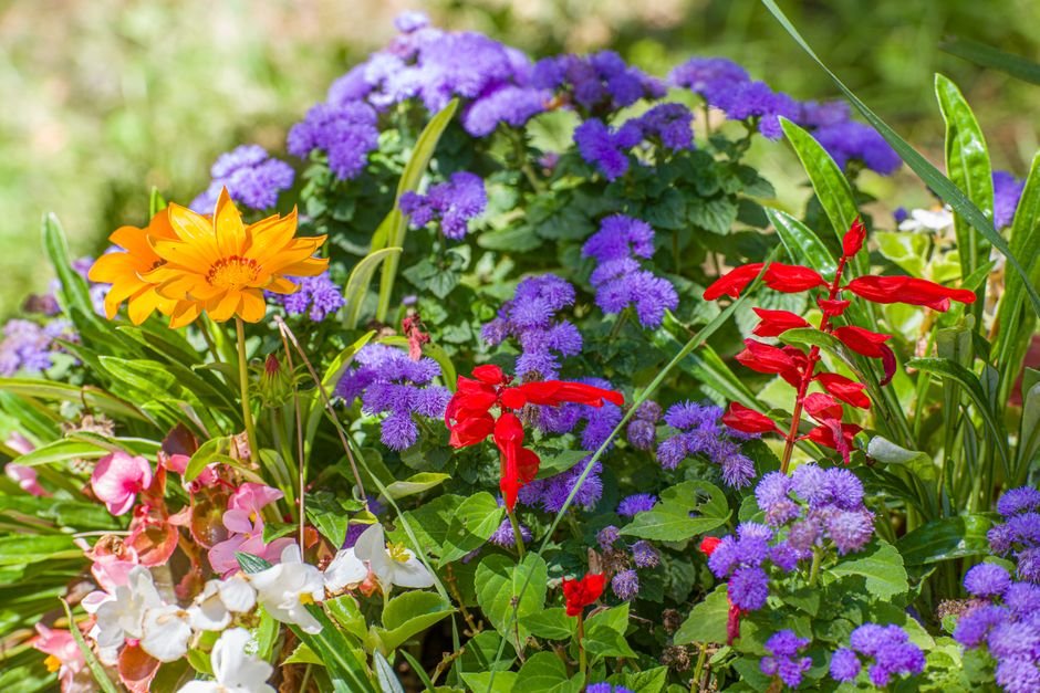Seasonal Colors & Combinations