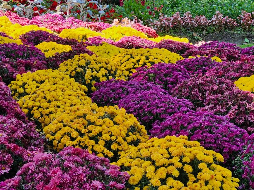 Seasonal Colors & Combinations