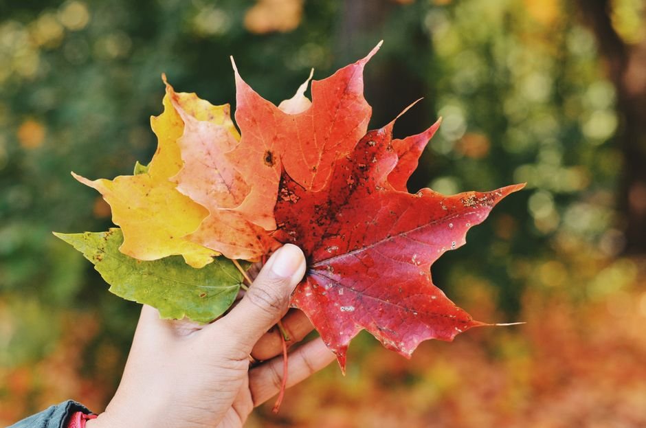 Seasonal Colors & Combinations
