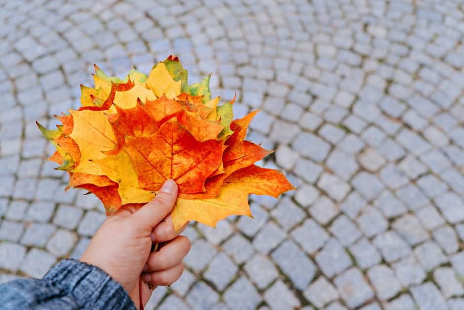 Seasonal Colors & Combinations