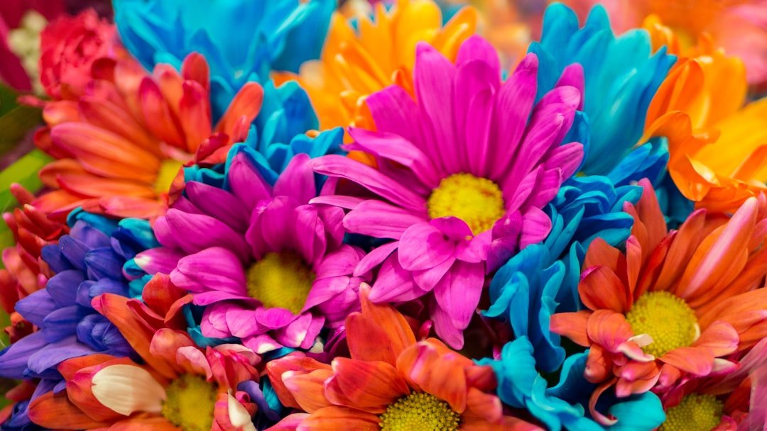 Seasonal Colors & Combinations
