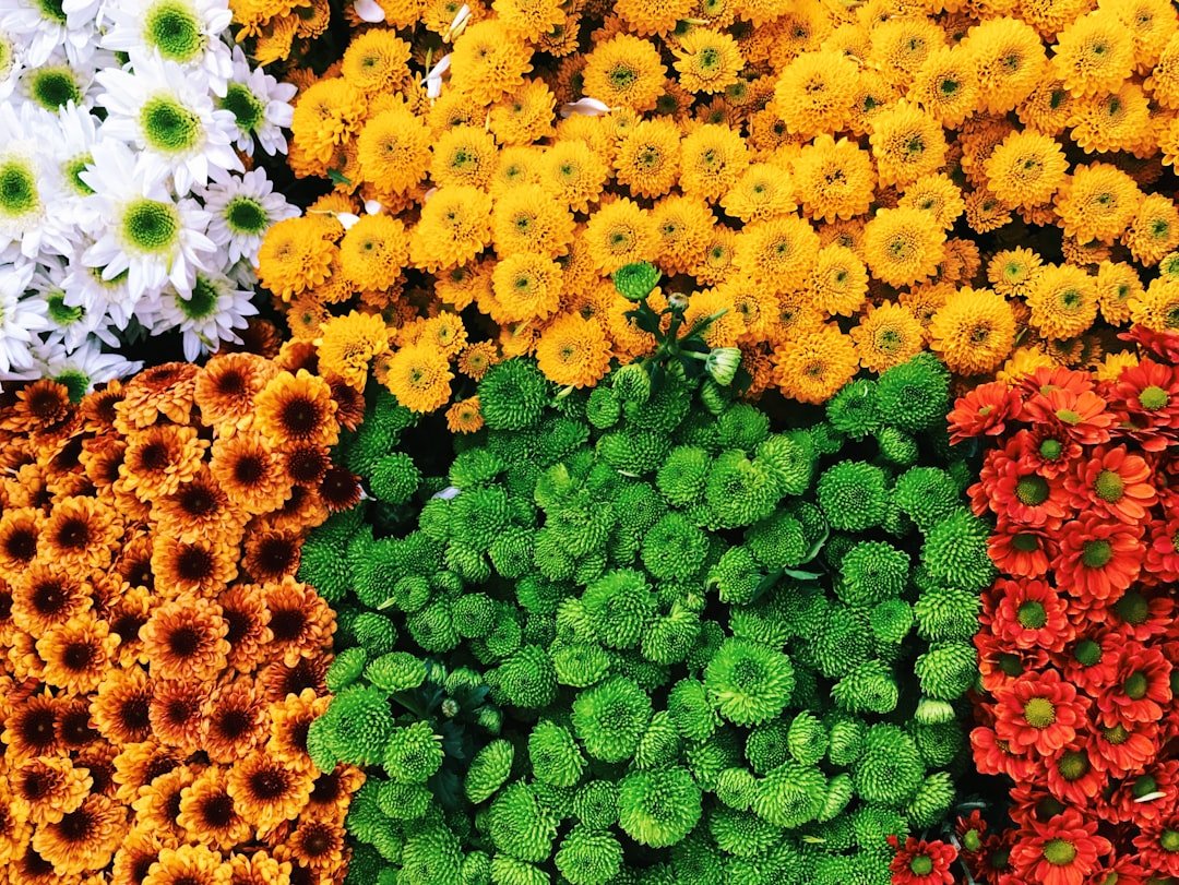 Seasonal Colors & Combinations