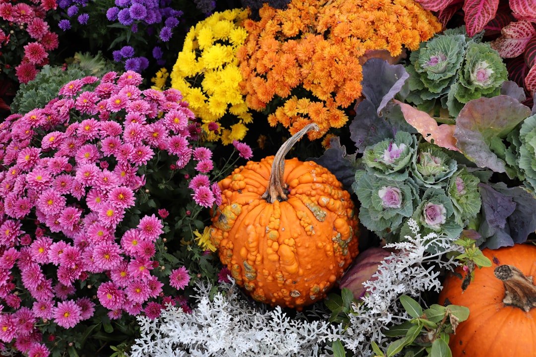 Seasonal Colors & Combinations