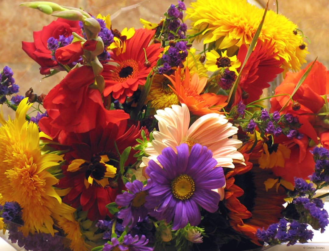 Seasonal Colors & Combinations