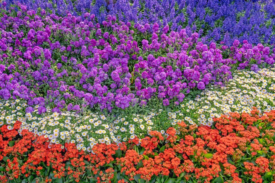 Seasonal Colors & Combinations