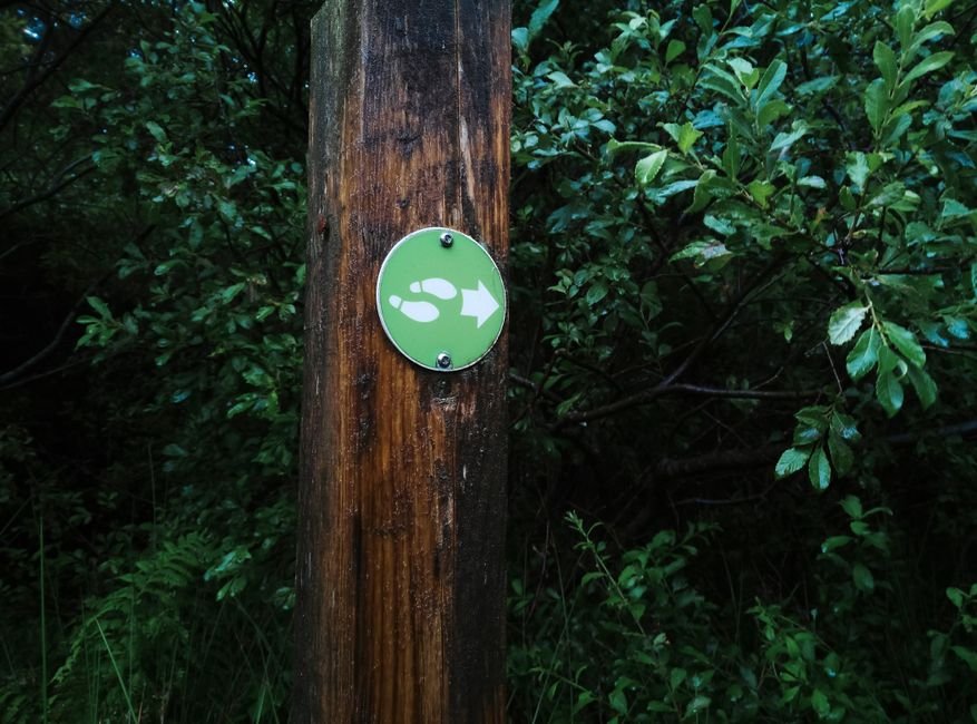 33 Bob Haircuts for Women Over 50 Modern, Chic & Age Defying Styles 4 Step-by-Step Guide Tips